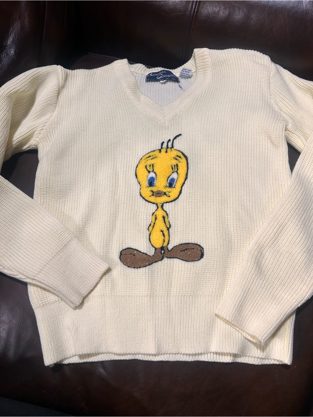 Rare vintage Warner Bros. Cream Knit Sweater with Tweety embroidered small 1966
